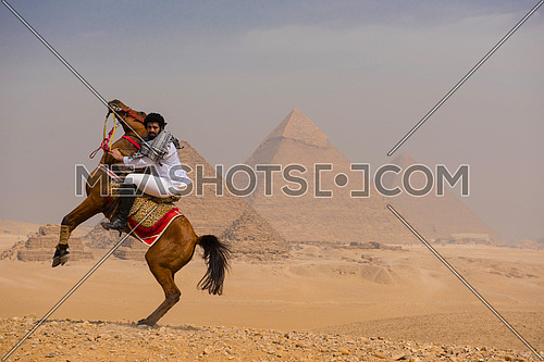 young  Egyptian   riding arabian horse in desert,  giza platou with grand pyramids in background
