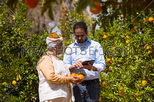 portrait of an elderly middle eastern farmers and young man on a farm of orange with a smile on their faces a sunny summer day