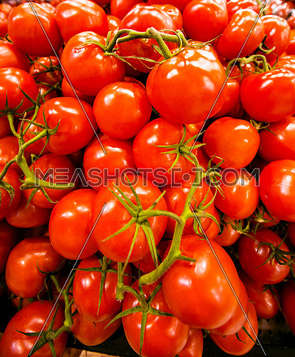 Red tomato bunch