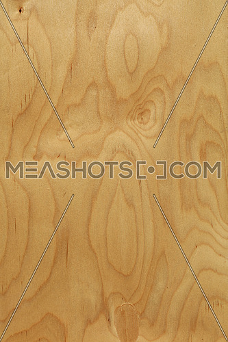 Rough unpainted beige plywood wood grain background texture close up