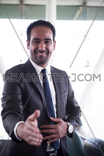 young middle eastern business man giving handshake