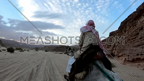 Follow shot for Bedouin man riding a camel Wadi Agarat in Sinai at day