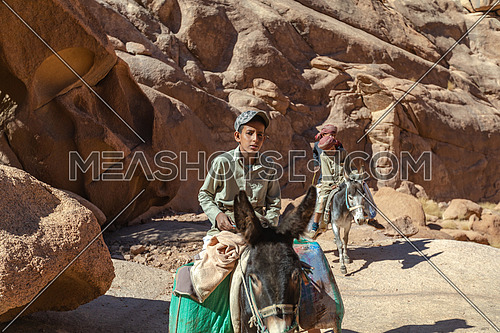 Bedouin children riding a donky at SInai Mountain by day