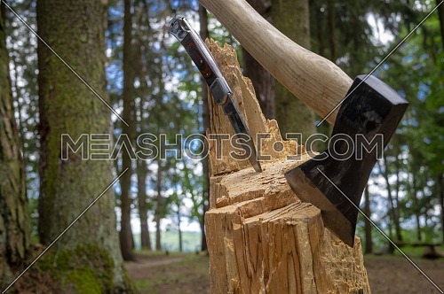 Chopper or axe and folding pocket knife stuck upright in a tree stump outdoors in a garden or woodland conceptual of an outdoor lifestyle or camping