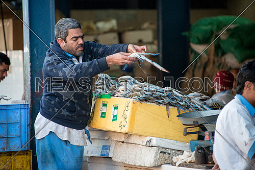 fish sales man holding a blue crab in fish market dubai