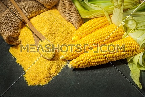 Ripe young sweet corn cob,on left stack cornmeal and spoon on top,dark background, copy space.Gluten free food concept