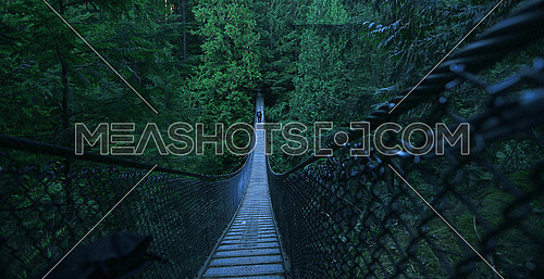 A man walking on a suspension bridge in the forest