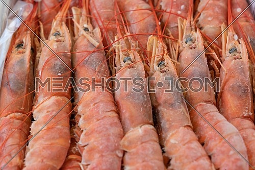 Frozen argentine red shrimp on head at the seafood market