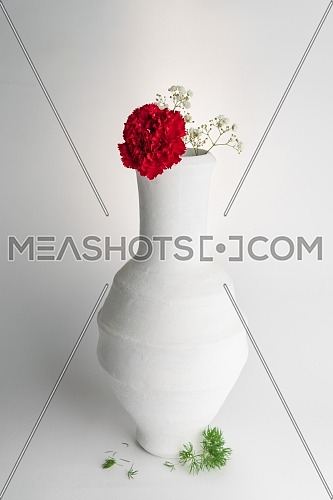 Still life composition of white pottery vase and red flower on white background