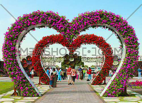 heart shaped flower structure