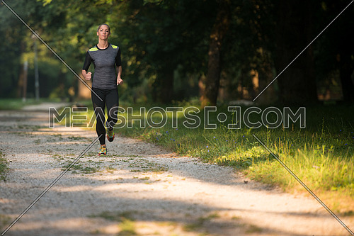Young Woman Running In Wooded Forest Area - Training And Exercising For Trail Run Marathon Endurance - Fitness Healthy Lifestyle Concept