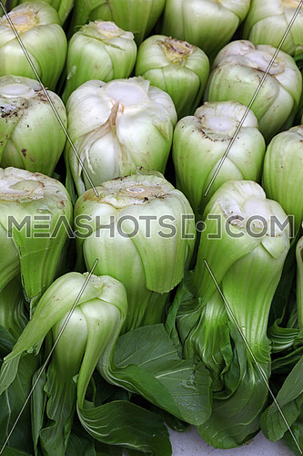 Fresh green Bok choy or pak choi (Brassica rapa chinensis) Chinese cabbage leaves on retail market display, close up, high angle view